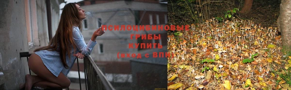 первитин Абинск