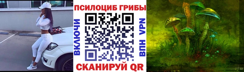 где найти наркотики  Шиханы  mega как войти  Галлюциногенные грибы Psilocybine cubensis 